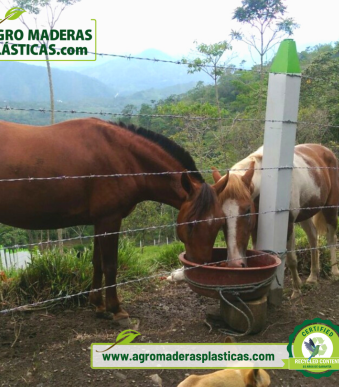 Extrusora para Plásticos